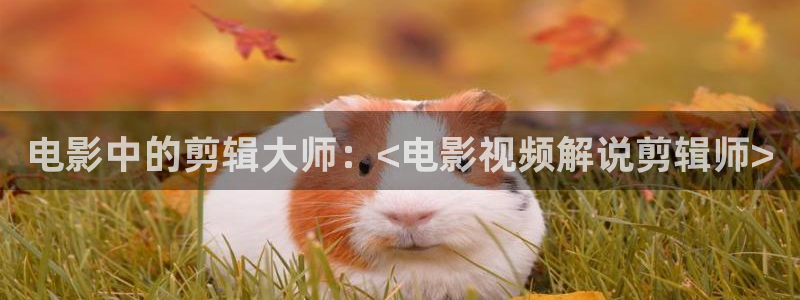 精品国产午夜肉伦伦影院