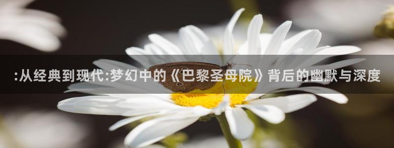 芬兰午夜电影播放