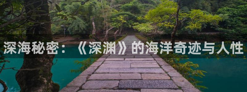 国产午夜av最新