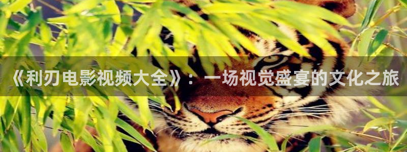 国产成人啪精品午夜在线播放