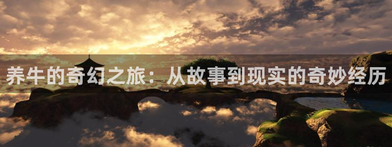 午夜电影网动漫