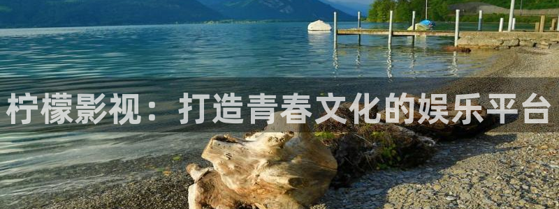 8090午夜电影网