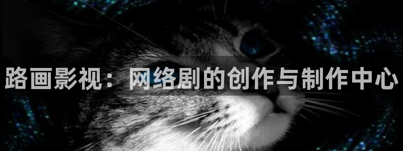 飘花电影网午夜在线观看