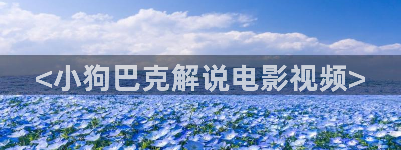 韩国电影午夜影院