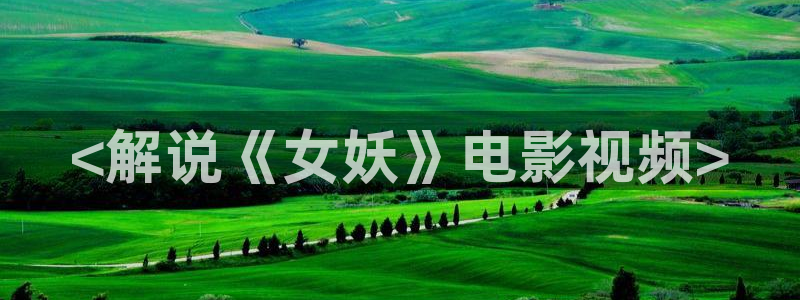 成人午夜电影大全