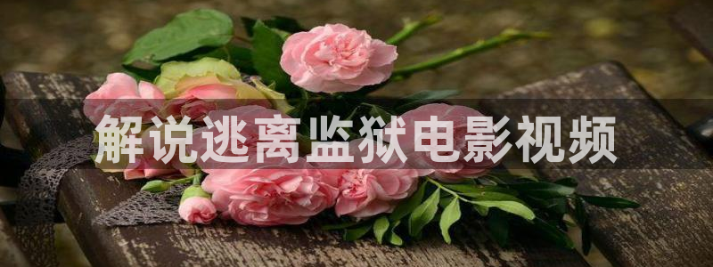 午夜电影成人