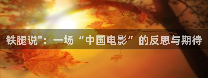 窝窝午夜大电影