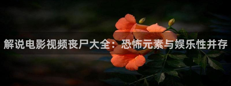 午夜电影影片
