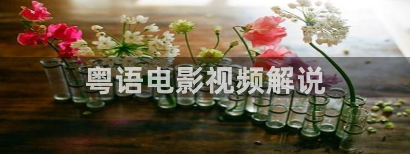 午夜片扬