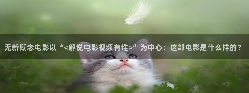 成年人午夜高清大片
