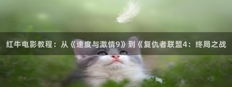 神马电影午夜秀场：红牛电影教程：从《速度与激情9》到《复仇者联盟4：终局之战