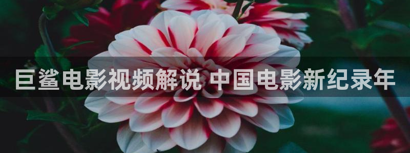 午夜国产精品电影在线观看