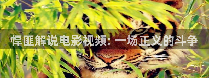 神马午夜飘花影院