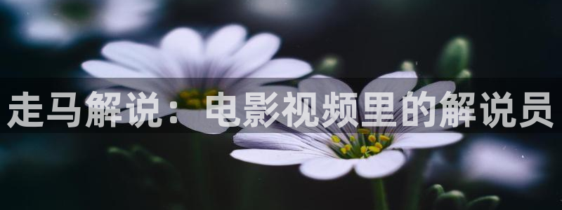 神马午夜在线电影