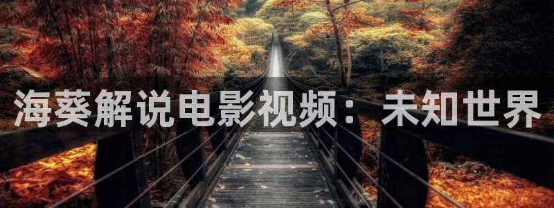 午夜影院 在线观看