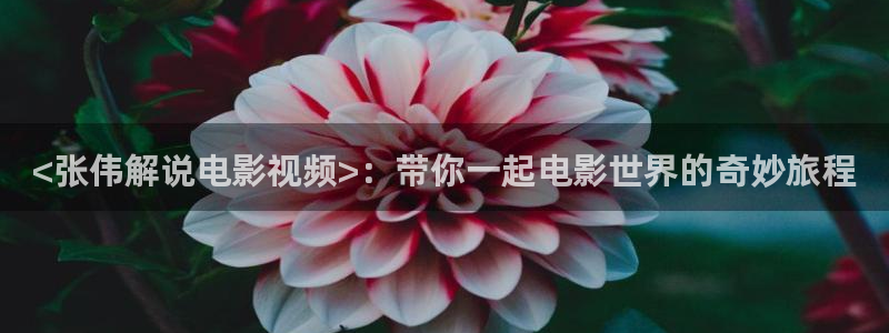 秋霞电影院午夜仑片