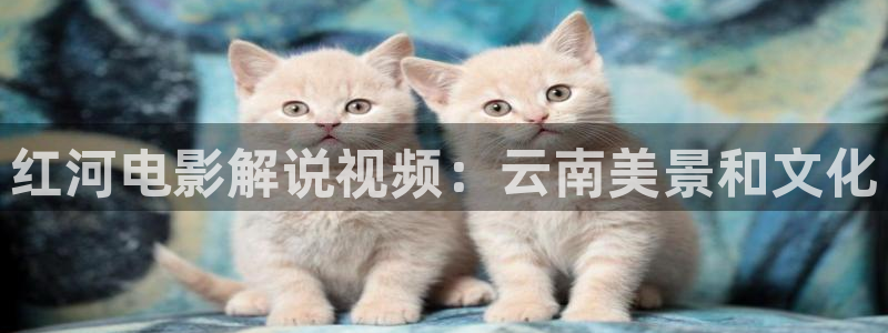 免费看午夜电影app
