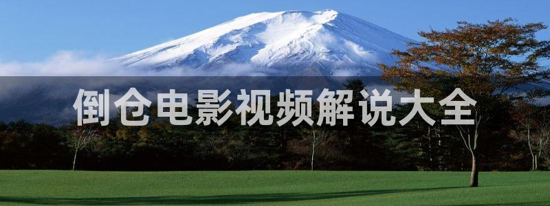 日韩午夜手机在线