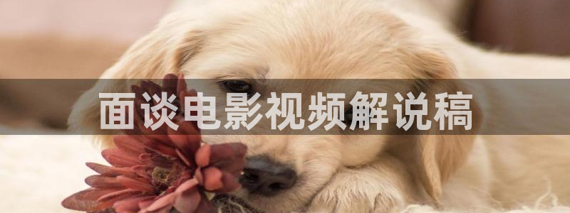 午夜电影88
