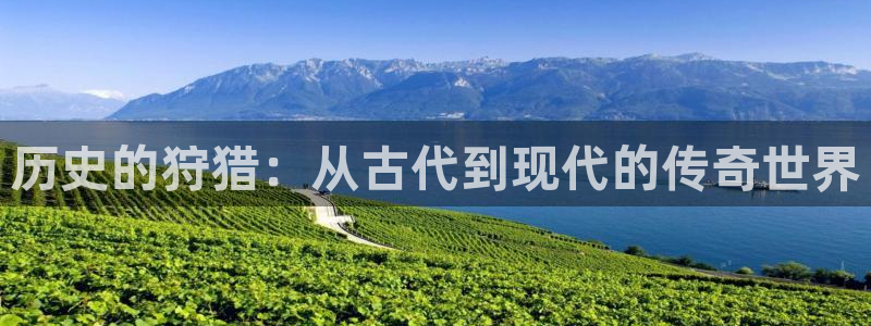 手机在线成人午夜电影