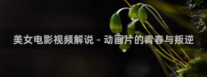 国产午夜理仑片