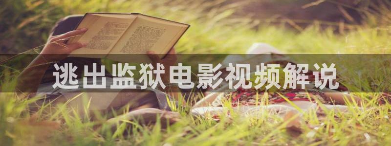 欧美午夜理论片在线观看