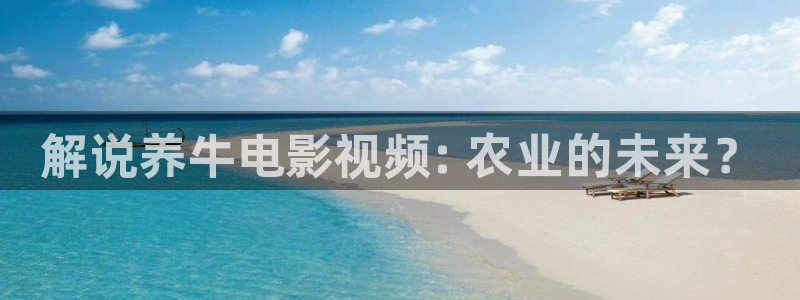 秋霞午夜电影