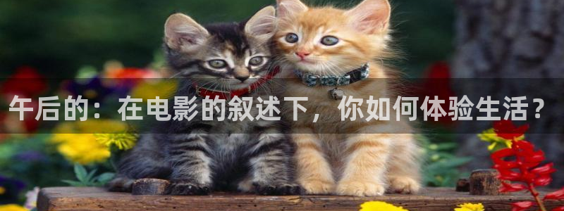 av激情午夜