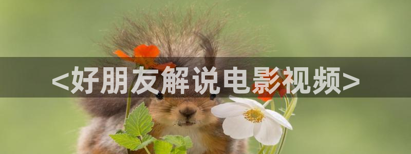 午夜电影院dy888