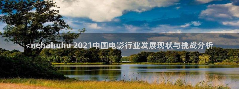 国产午夜不卡在线