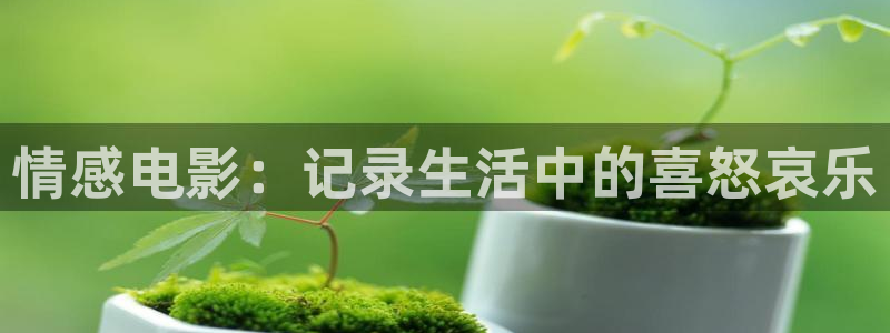 午夜论理电影片