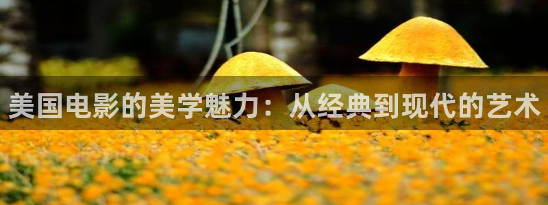91午夜国产电影