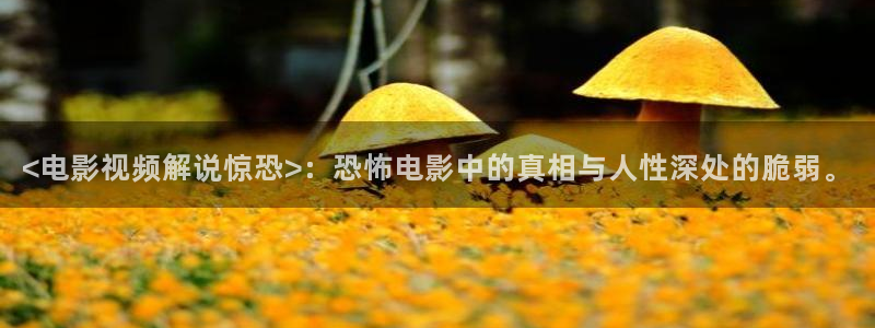dy888午夜影视