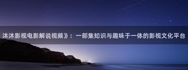 国产成人午夜在线观看