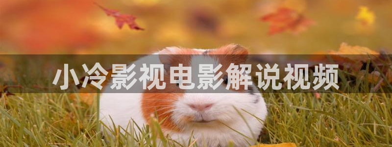 手机看午夜片