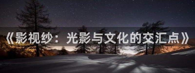 午夜神马理论电影