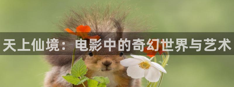 男生午夜电影