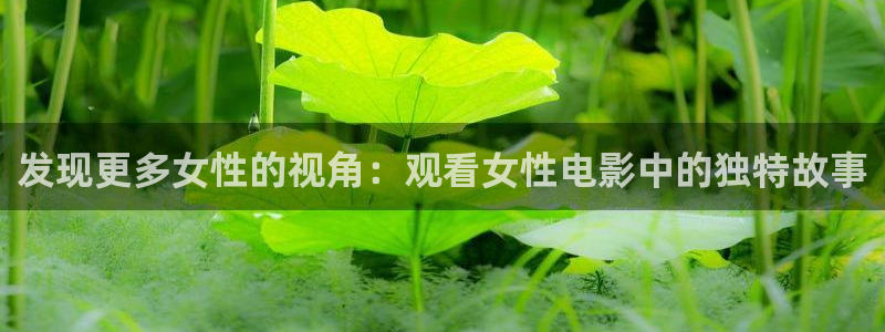 秋霞午夜电影网在线观看视频