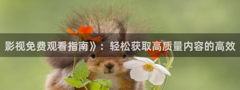 大学生午夜电影