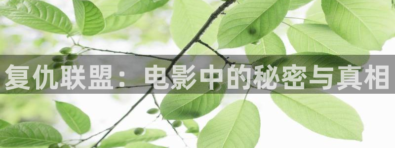 午夜蜜桃av在线观看