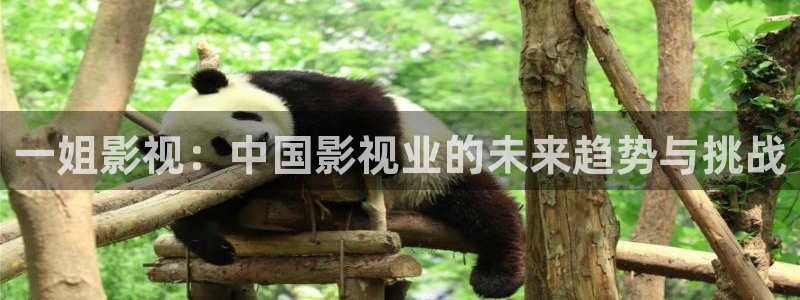 午夜在线看片不卡