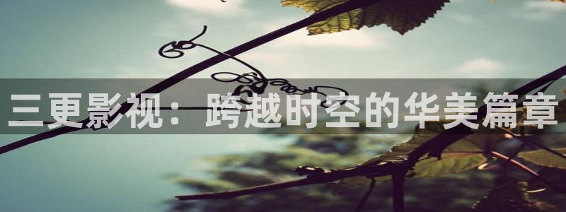 午夜大片试免费观看