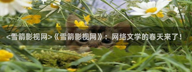 西瓜午夜电影