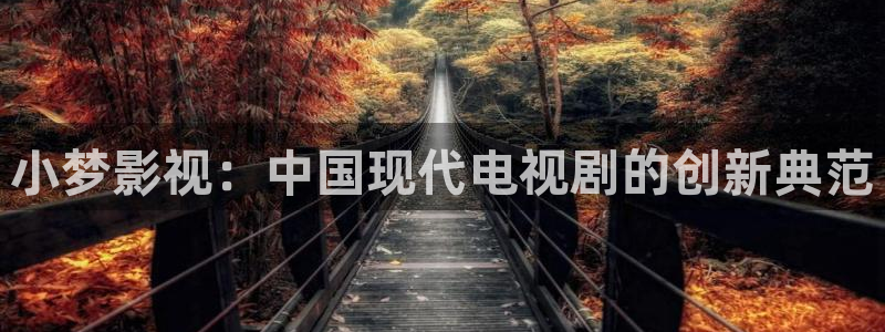 午夜片视频网站