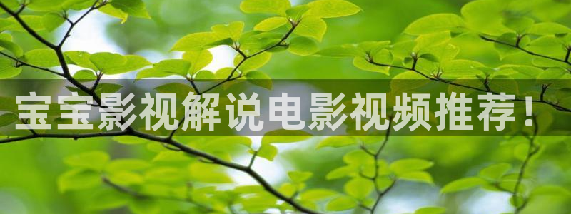 午夜神马秋霞影院