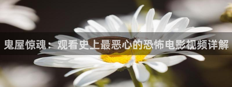 神马午夜达达兔在线观看
