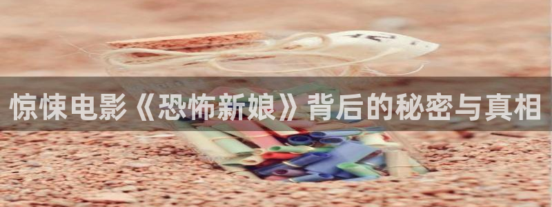 神马午夜电影在线观看