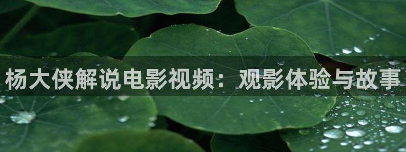 岛国午夜在线
