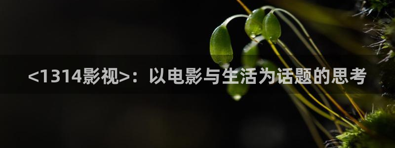 午夜影院八戒