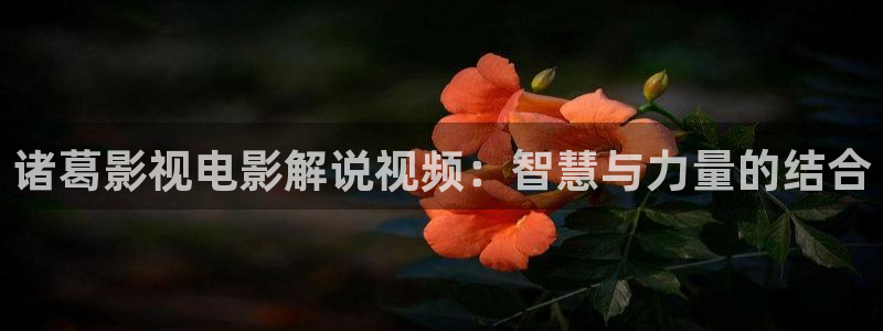 午夜麻豆电影